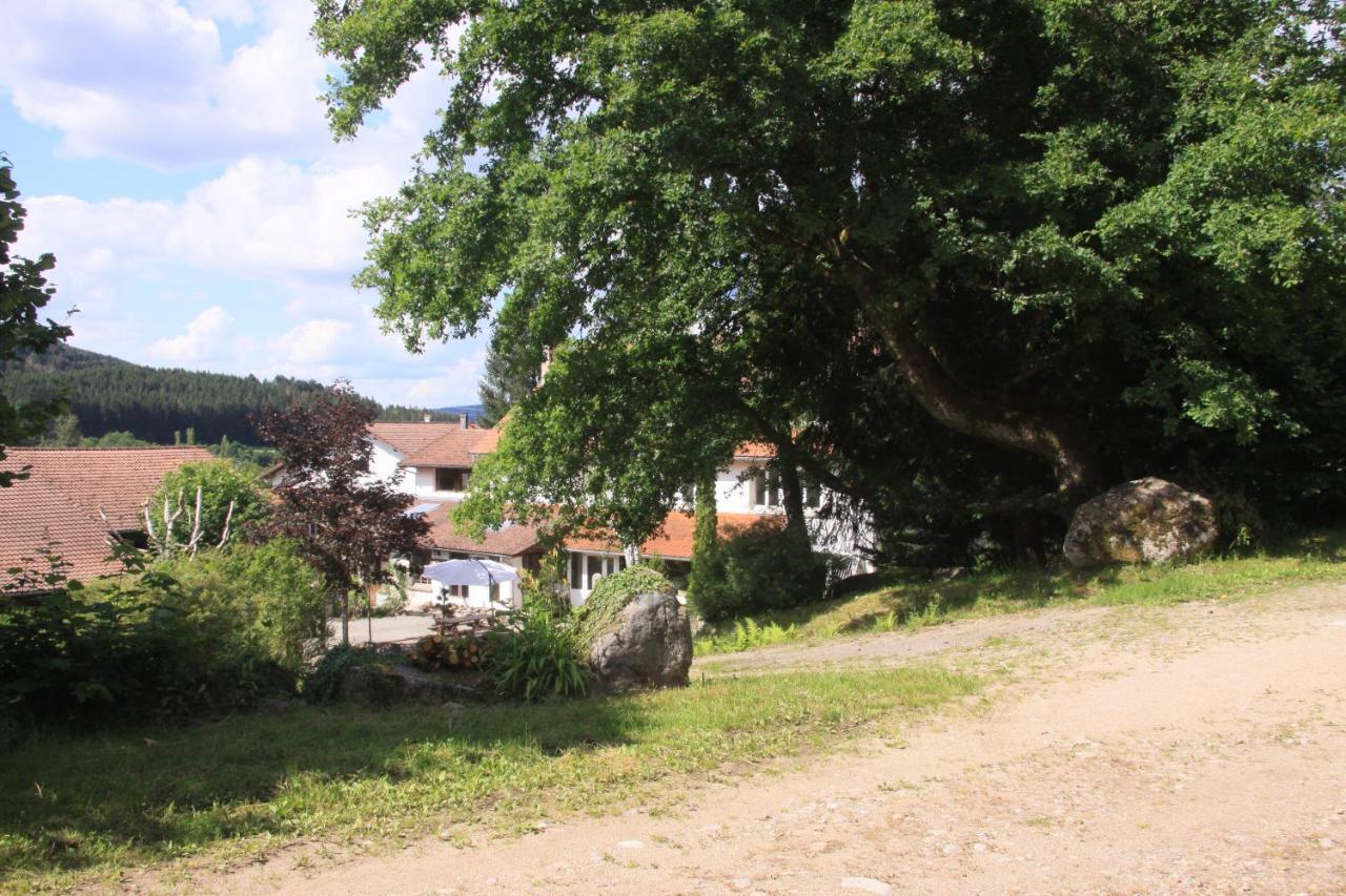 Hotel Notre Dame Des Monts Ban-sur-Meurthe-Clefcy Zewnętrze zdjęcie